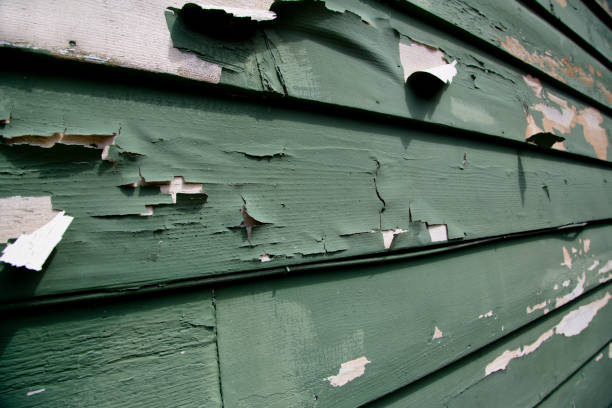 Best Dumpster Rental Services  in Argos, IN