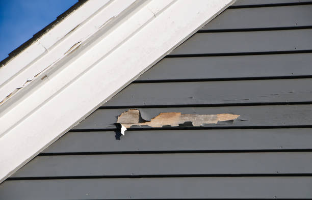 Best Shed Removal  in Argos, IN