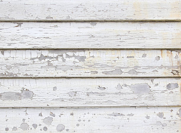 Best Construction Debris Removal  in Argos, IN